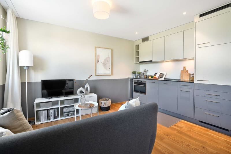 2.5-Room Apartment (3)