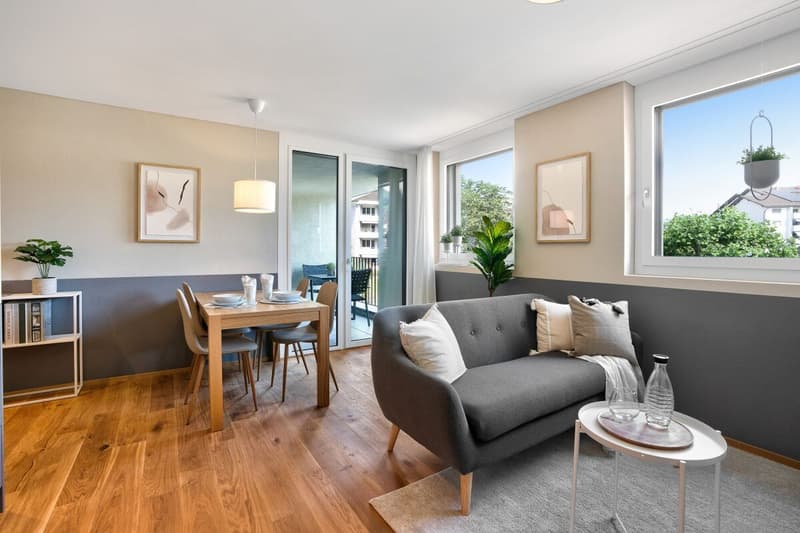 2.5-Room Apartment (4)