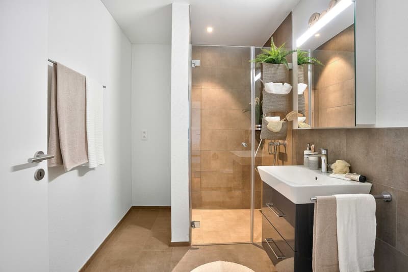 2.5-Room Apartment (7)