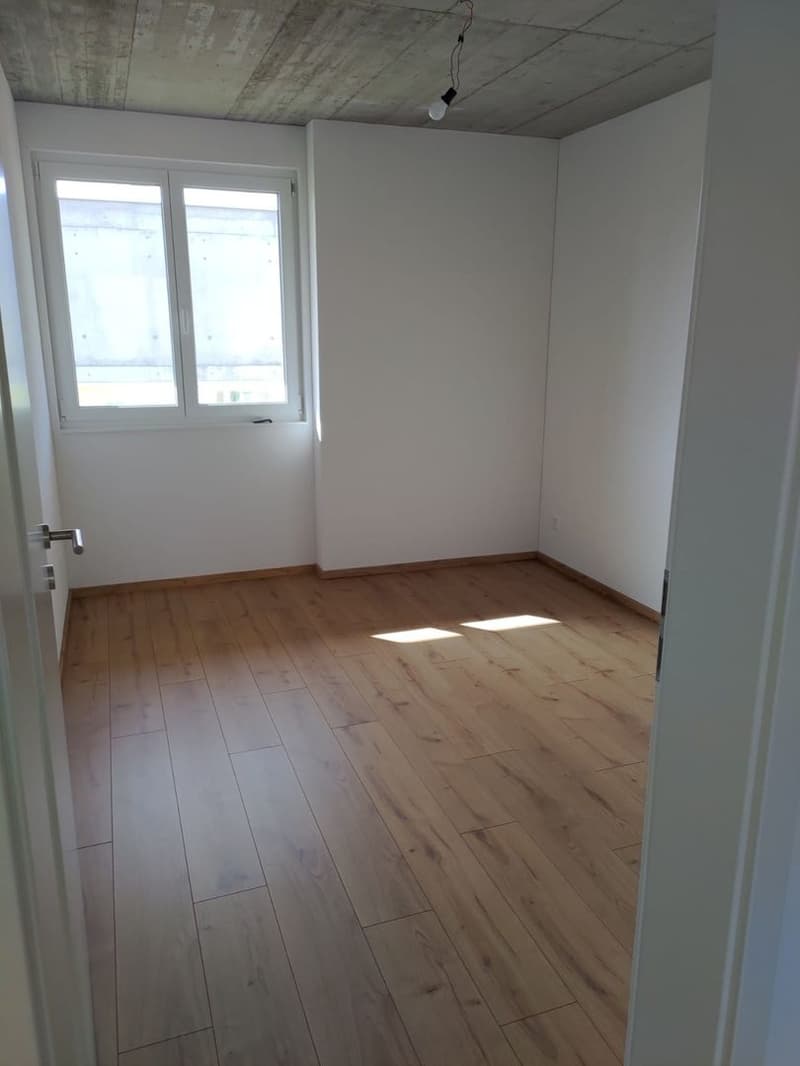 Appartamento 4,5 locali (5)