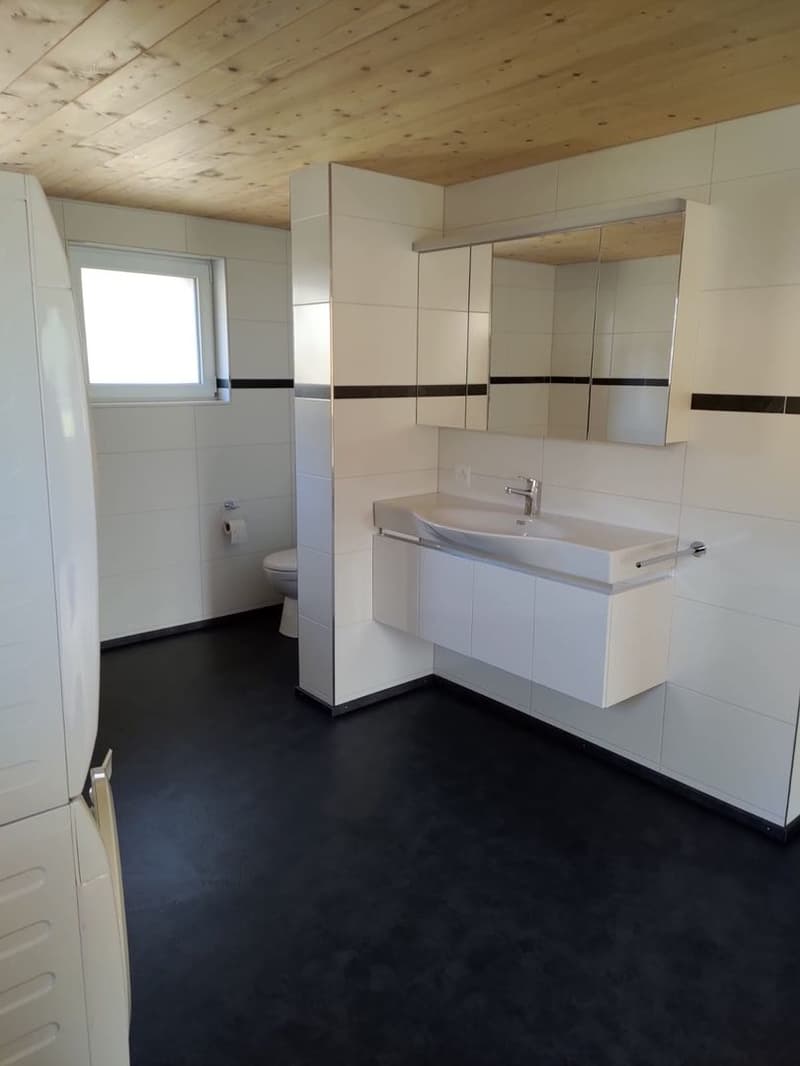 Appartamento 4,5 locali (9)