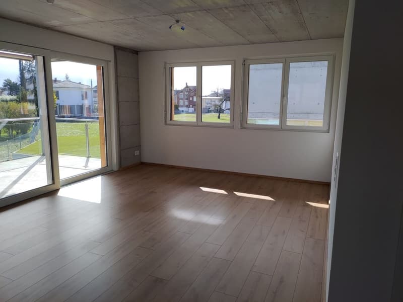 Appartamento 4,5 locali (3)
