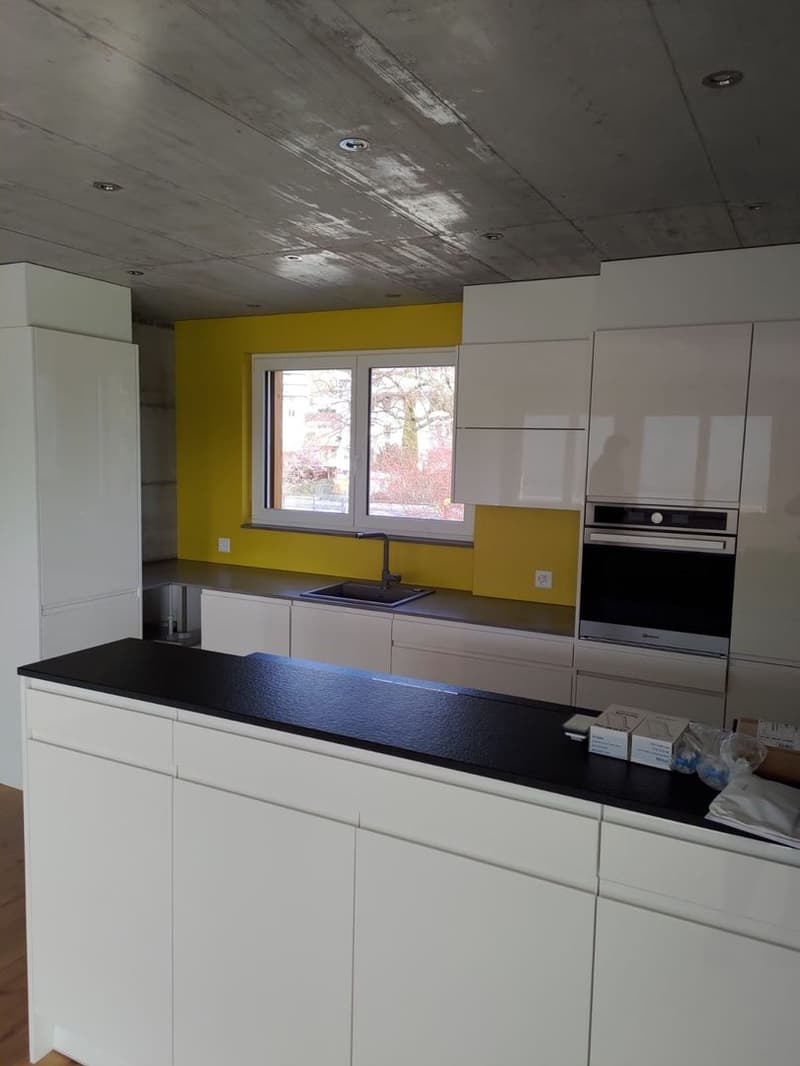 Appartamento 4,5 locali (2)