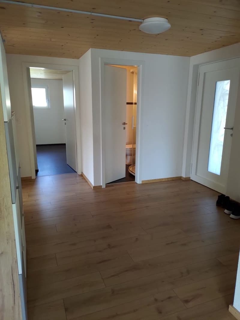 Appartamento 4,5 locali (12)