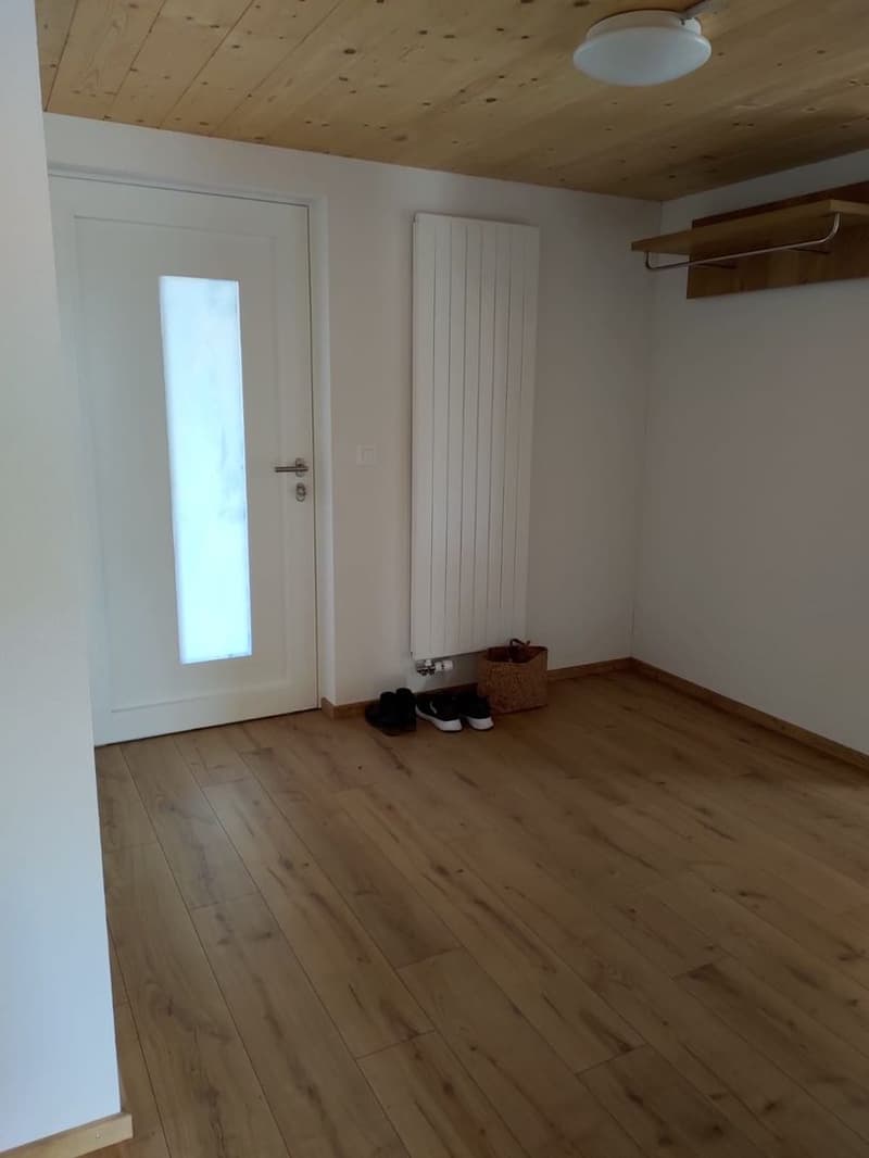 Appartamento 4,5 locali (11)
