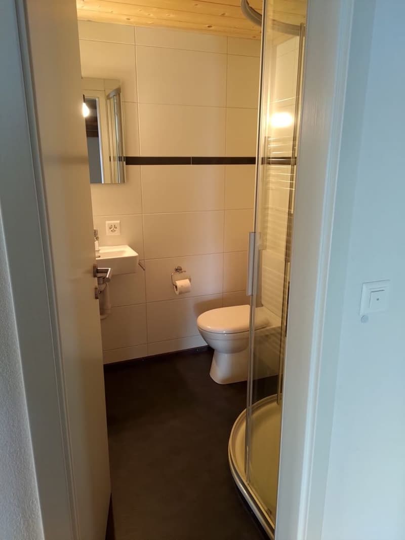 Appartamento 4,5 locali (10)