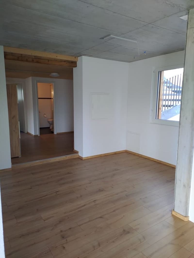 Appartamento 4,5 locali (4)