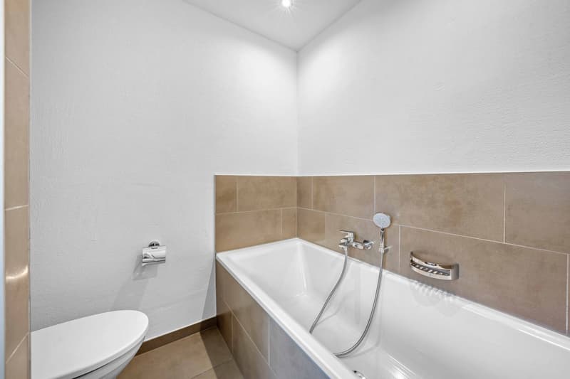 4.5-Zimmer-Wohnung (8)