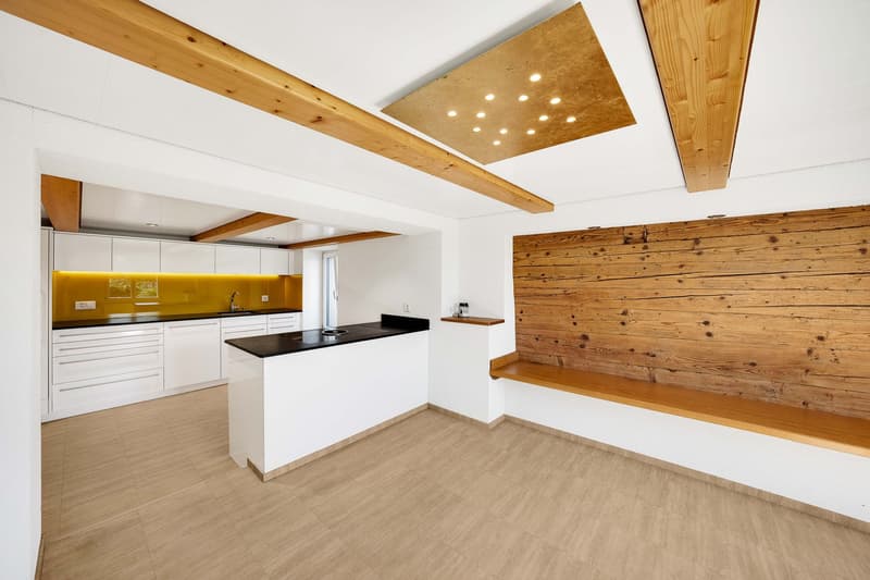 Single-family house (3)
