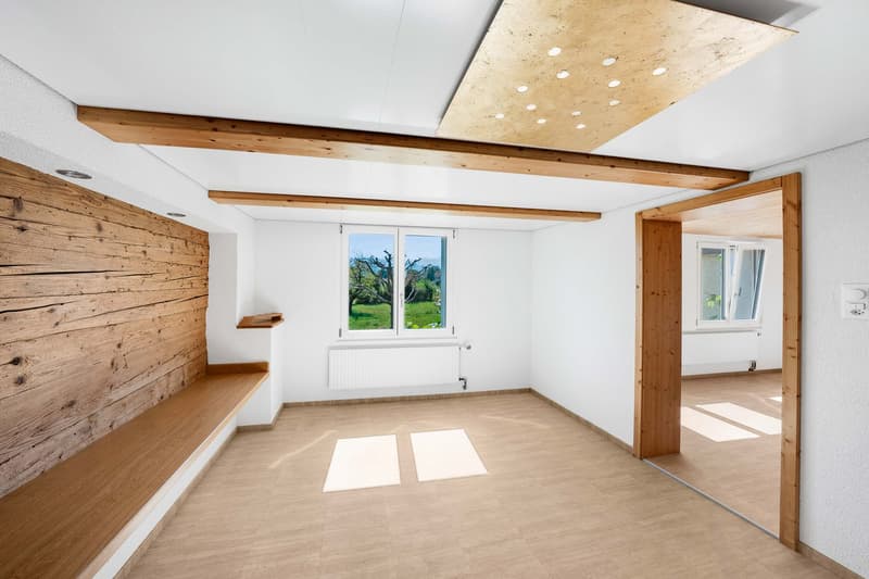 Single-family house (4)