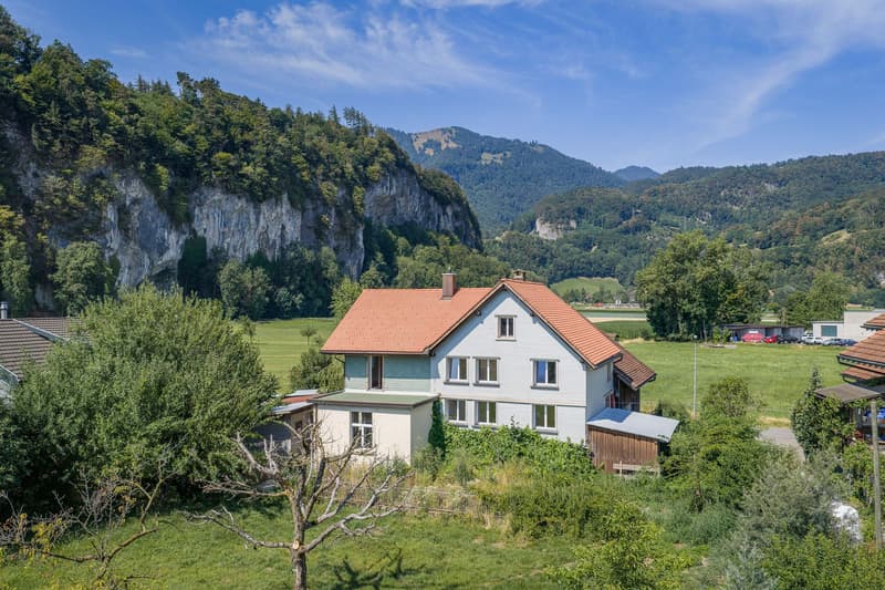 Single-family house (2)