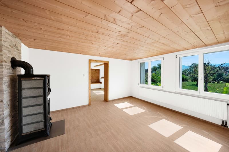 Single-family house (5)