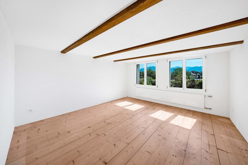 Single-family house (7)