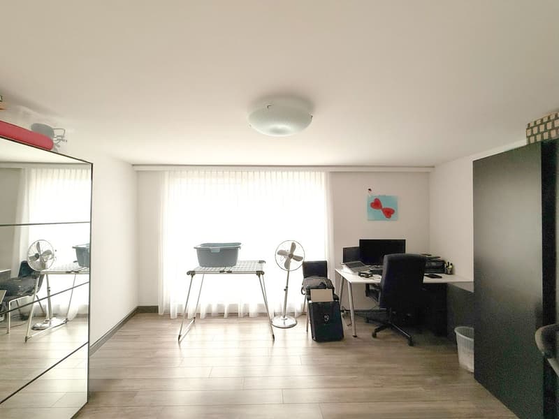 3.5-Zimmer-Attikawohnung (9)