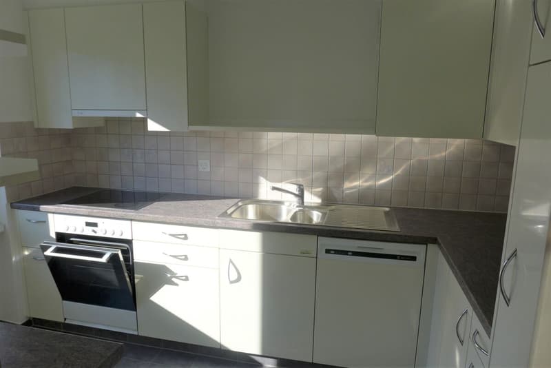 schöne Wohnung mit Blick ins Grüne - absolut ruhige Lage (3)