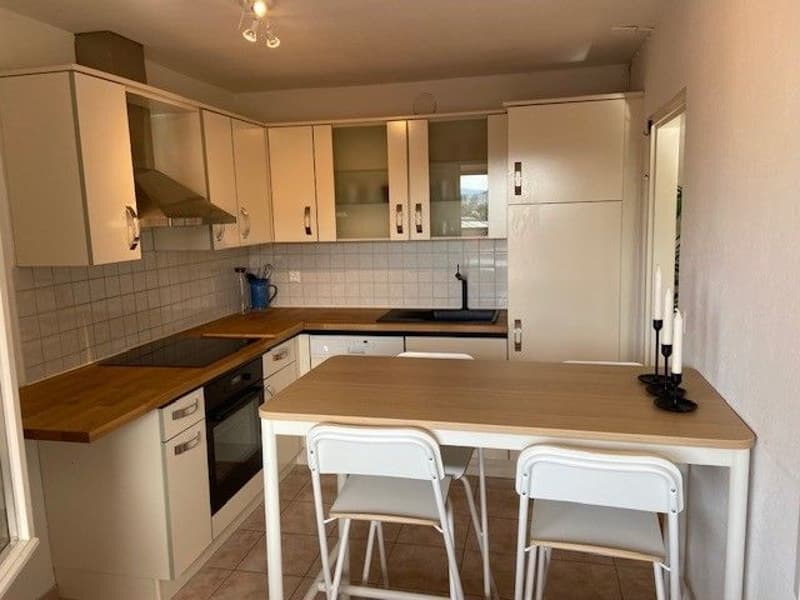 3.5-Zimmer-Wohnung (3)