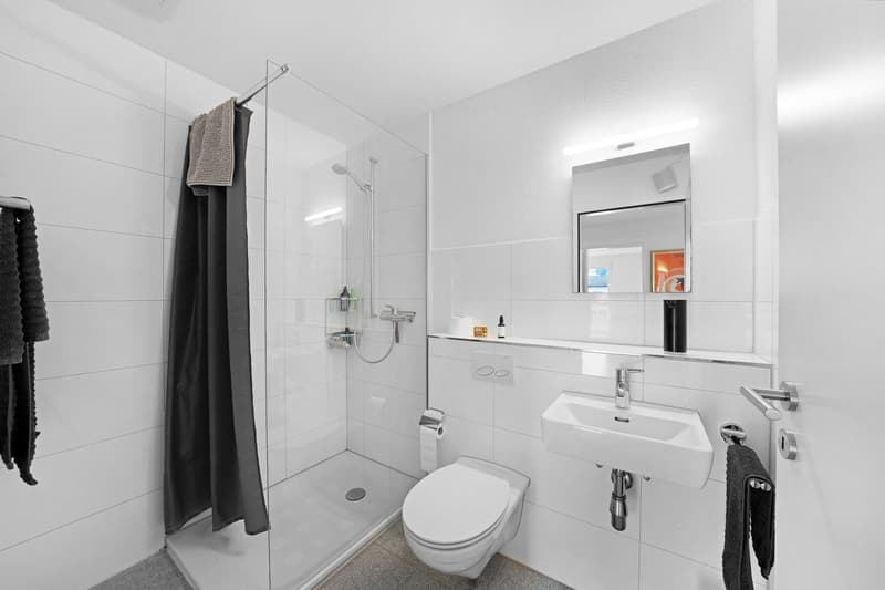4.5-Zimmer-Wohnung (9)