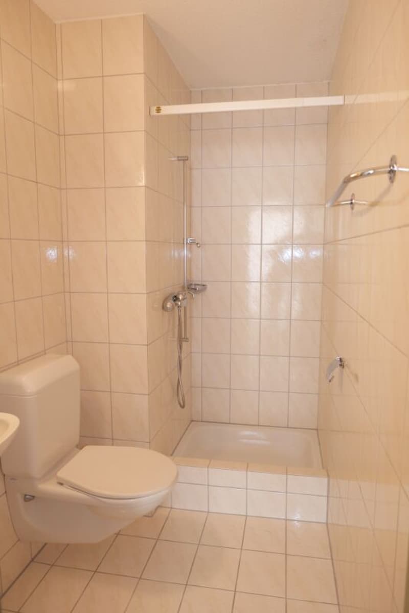 4.5-Zimmer-Wohnung (6)