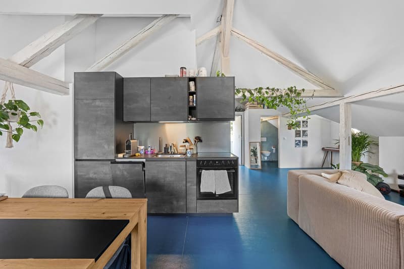 2.5-Zimmer-Dachwohnung (3)