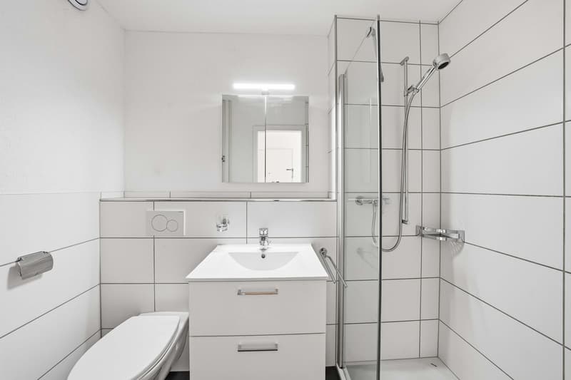 1.5-Zimmer-Wohnung (6)