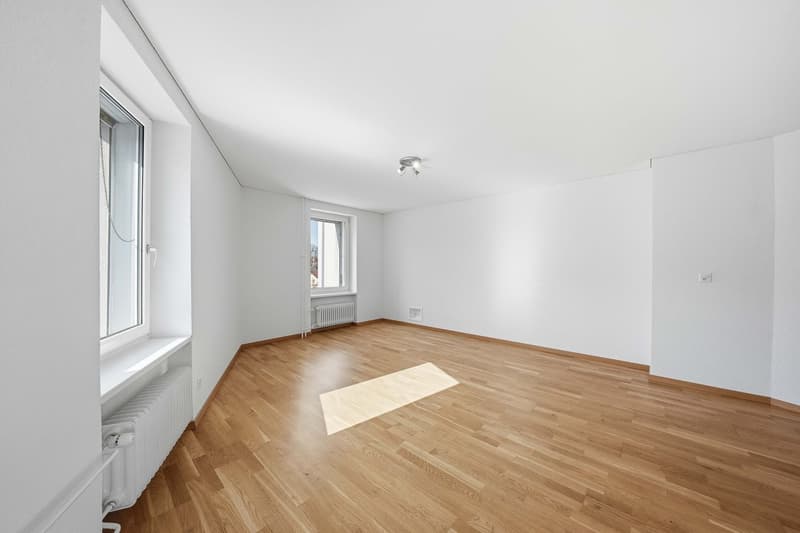 1.5-Zimmer-Wohnung (3)