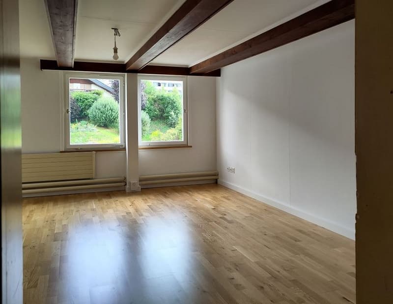 1-Zimmer-Wohnung (3)