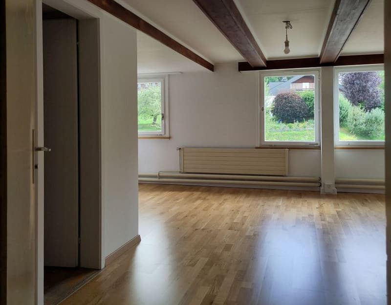 1-Zimmer-Wohnung (4)