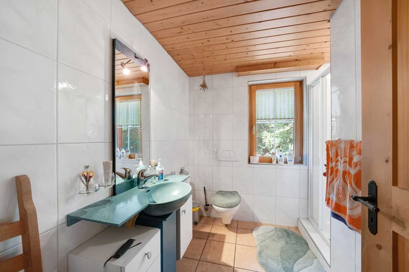 Einfamilienhaus (10)