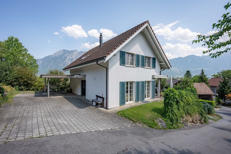 Einfamilienhaus (11)
