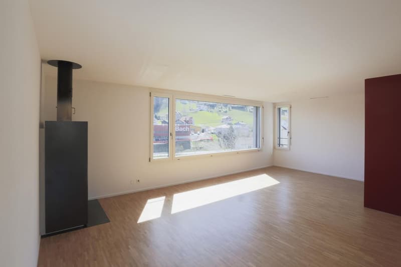 5.5-Zimmer-Wohnung (8)