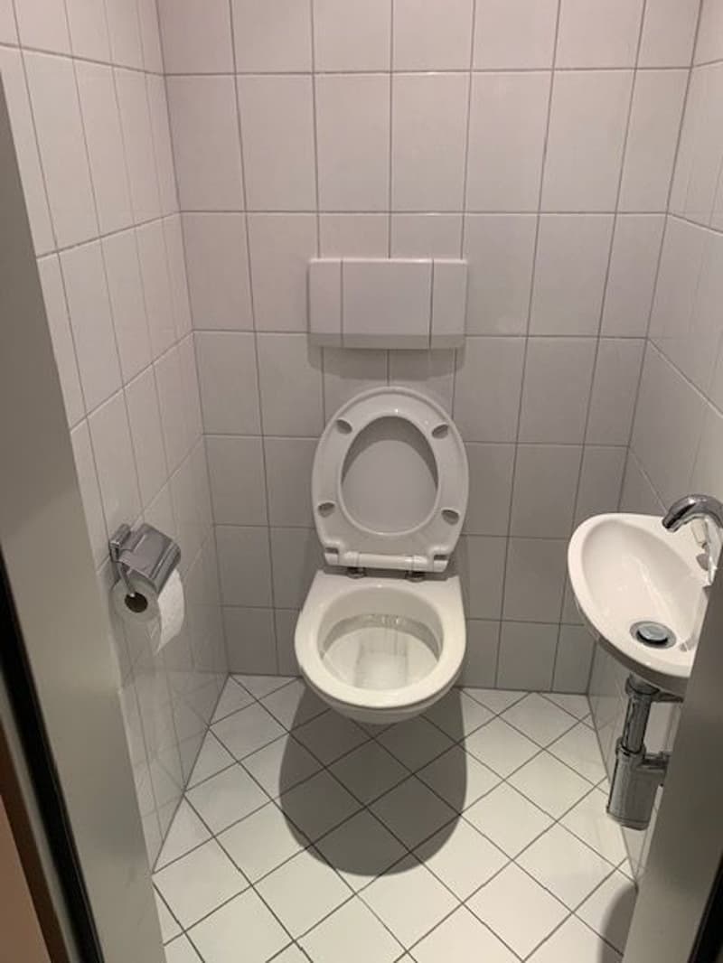 4.5-Zimmer-Wohnung (5)