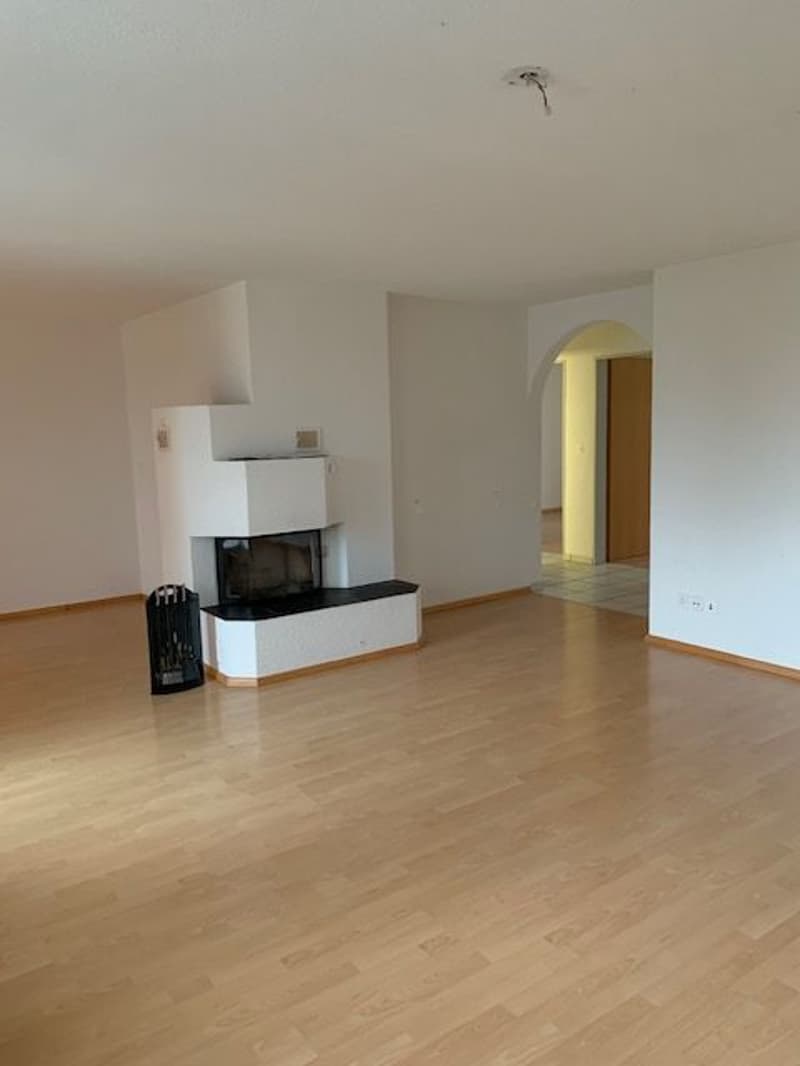 4.5-Zimmer-Wohnung (2)