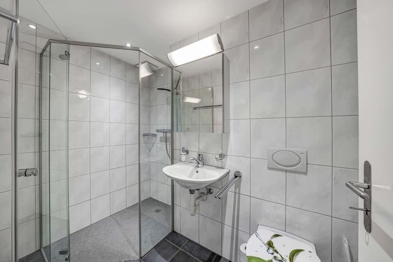4.5-Zimmer-Wohnung (10)
