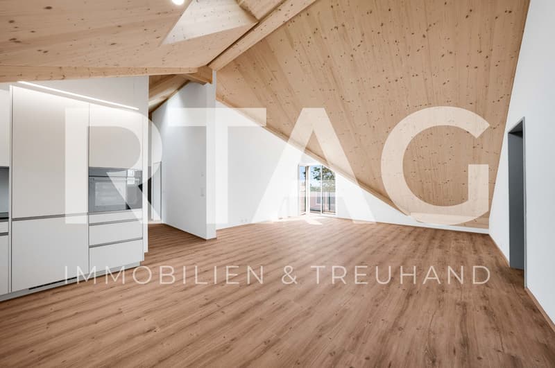 3.5-Zimmer-Dachwohnung (1)