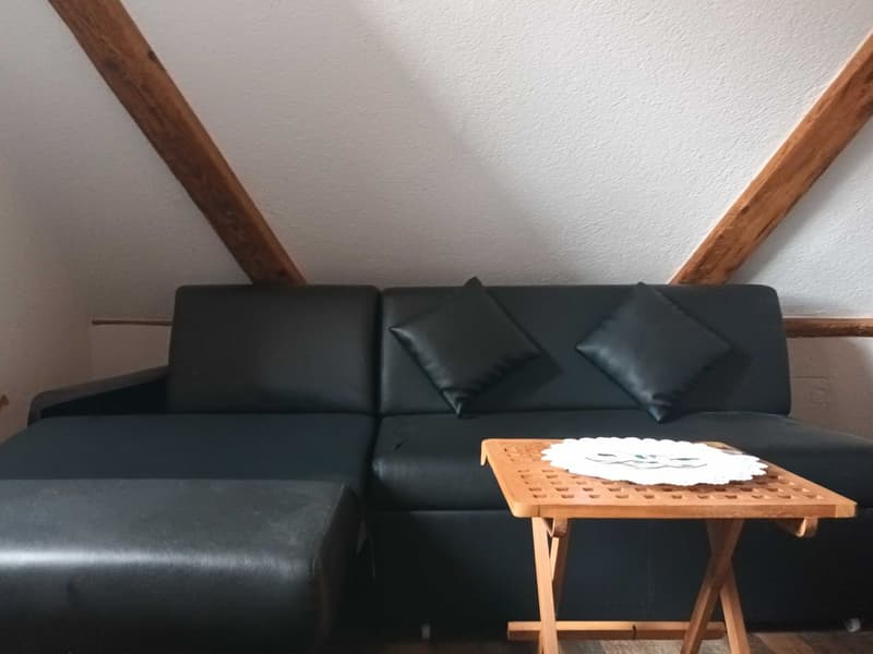 1-Zimmer-Wohnung (3)