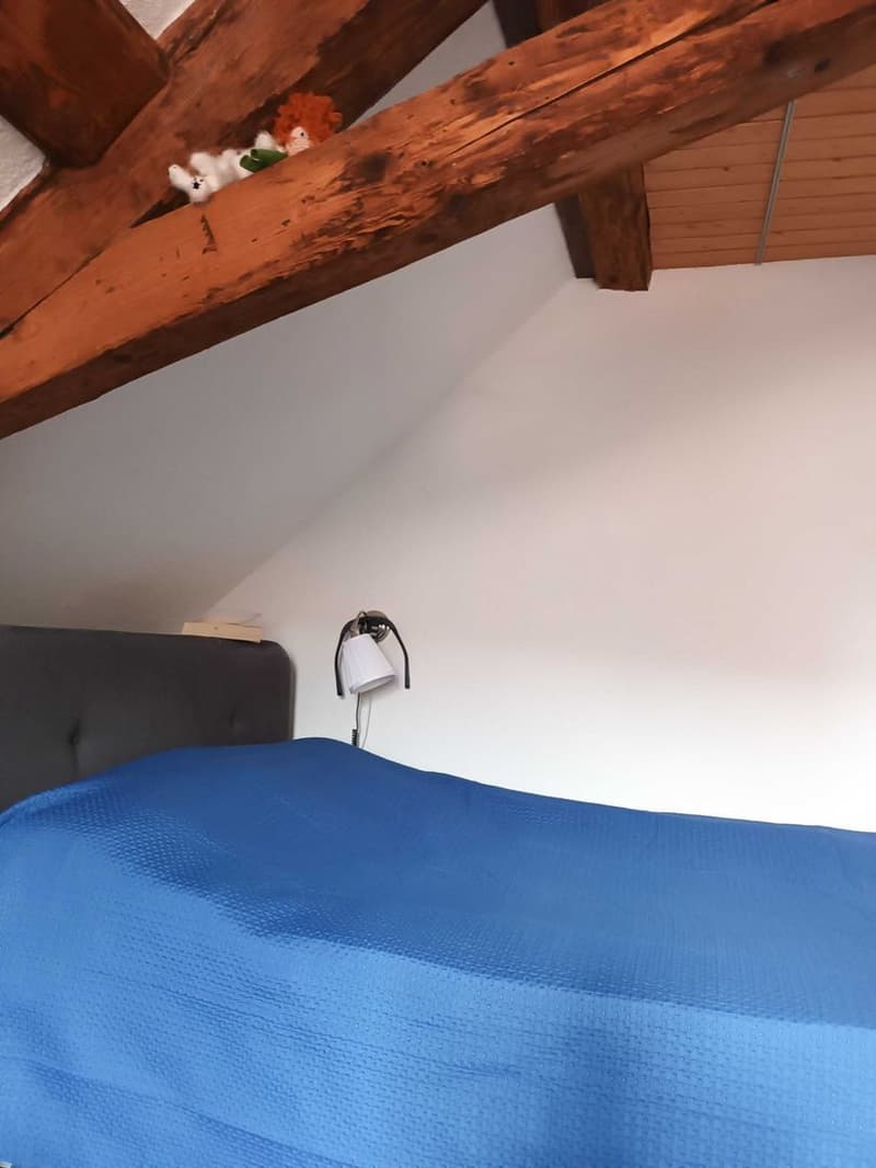 1-Zimmer-Wohnung (4)