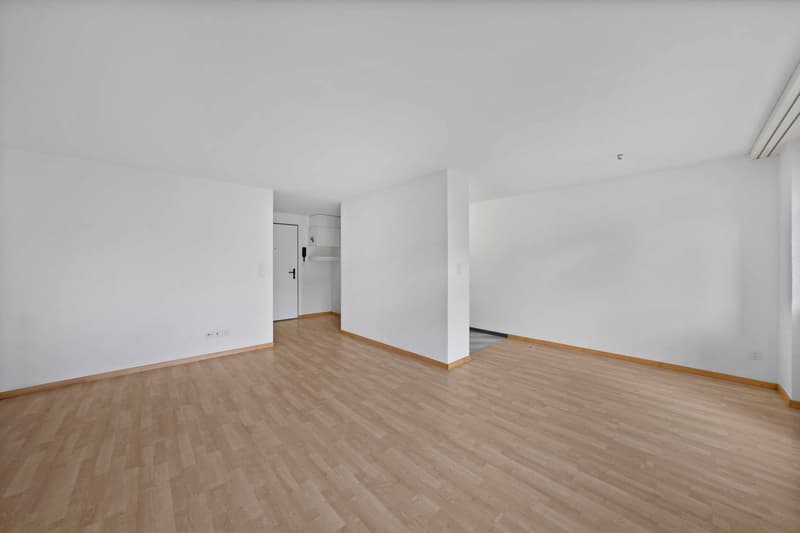 2.5-Zimmer-Wohnung (3)