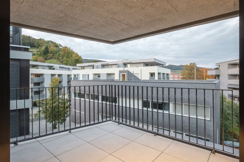 3.5-Zimmer-Wohnung (8)