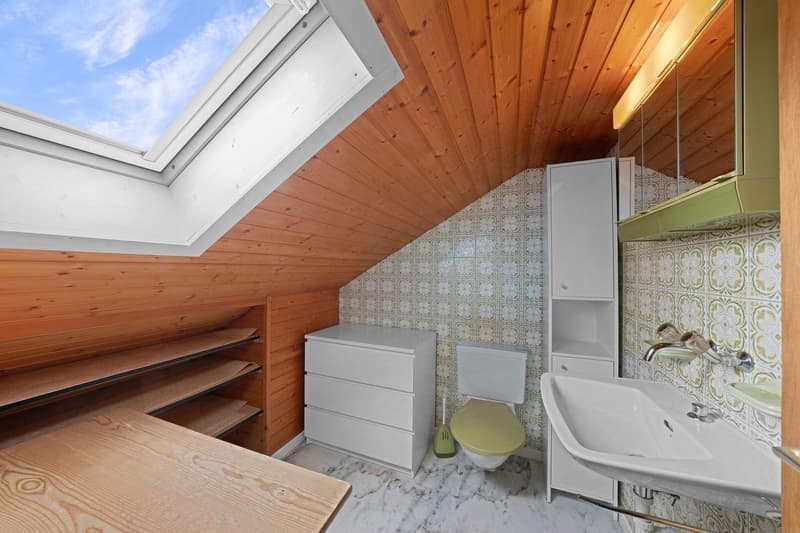Doppeleinfamilienhaus (9)