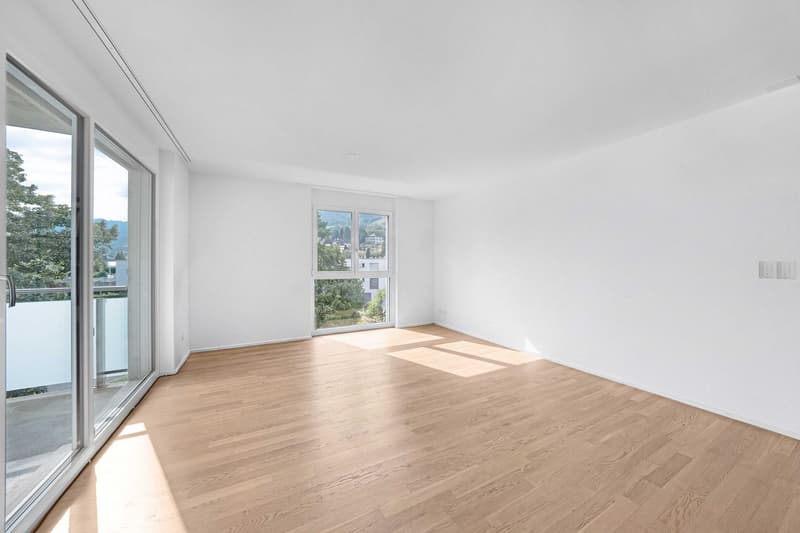4.5-Zimmer-Wohnung (4)
