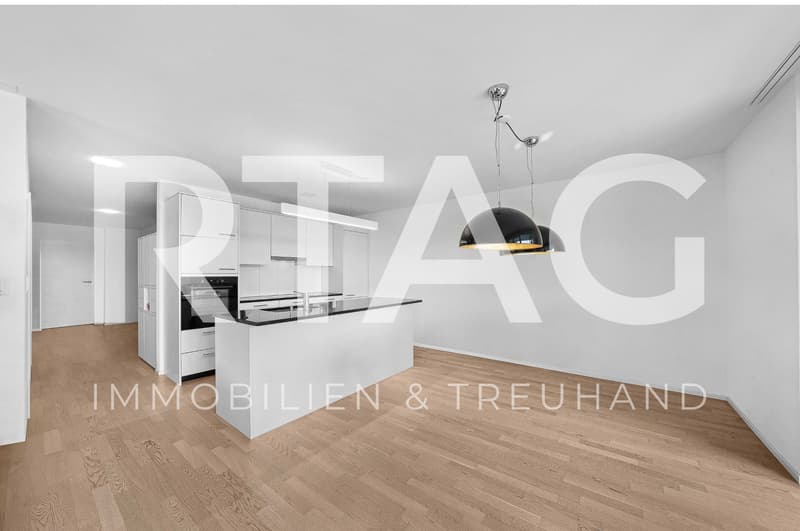 4.5-Zimmer-Wohnung (1)