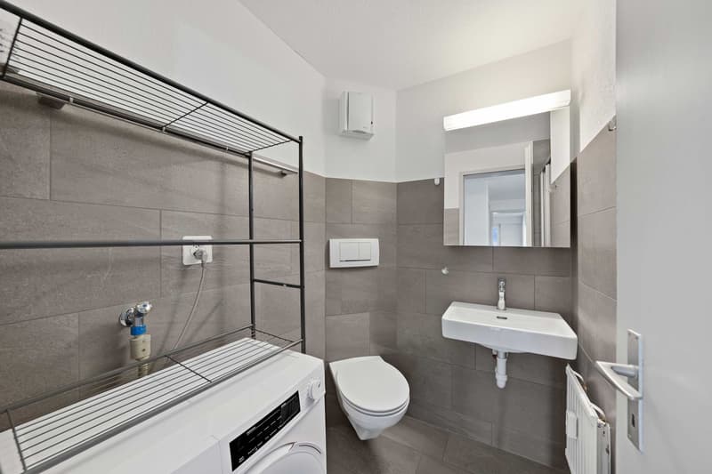 4.5-Zimmer-Wohnung (10)