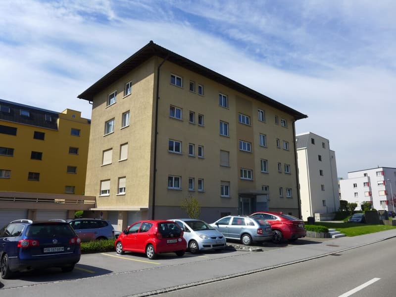 3.5-Zimmer-Wohnung (1)