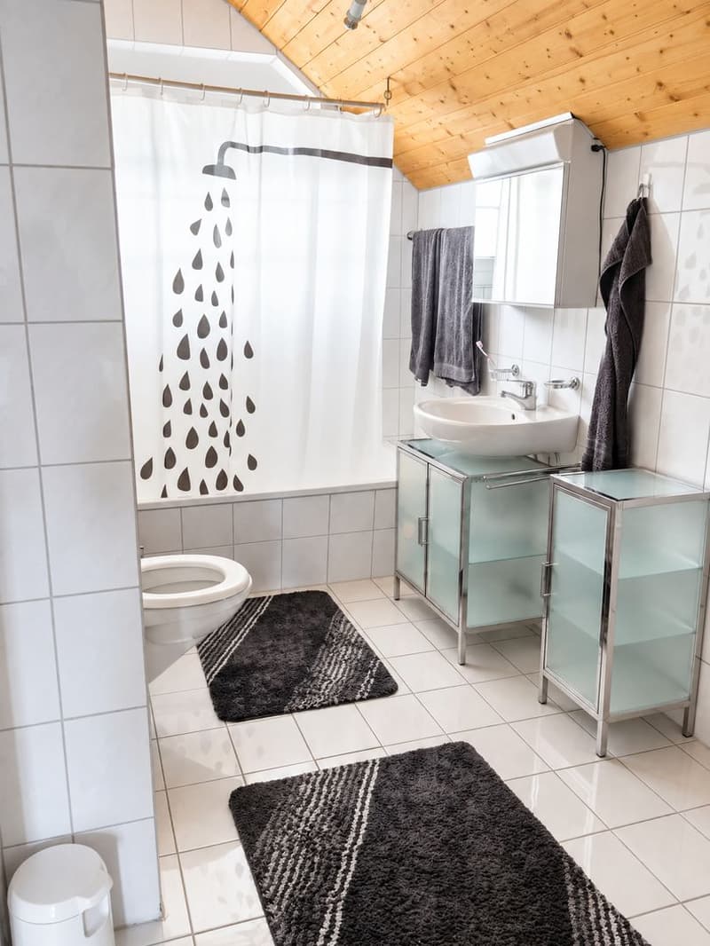 2.5 Zimmer-Dachwohnung (6)