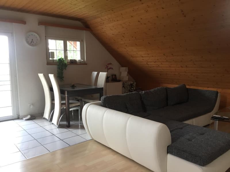 2.5 Zimmer-Dachwohnung (3)