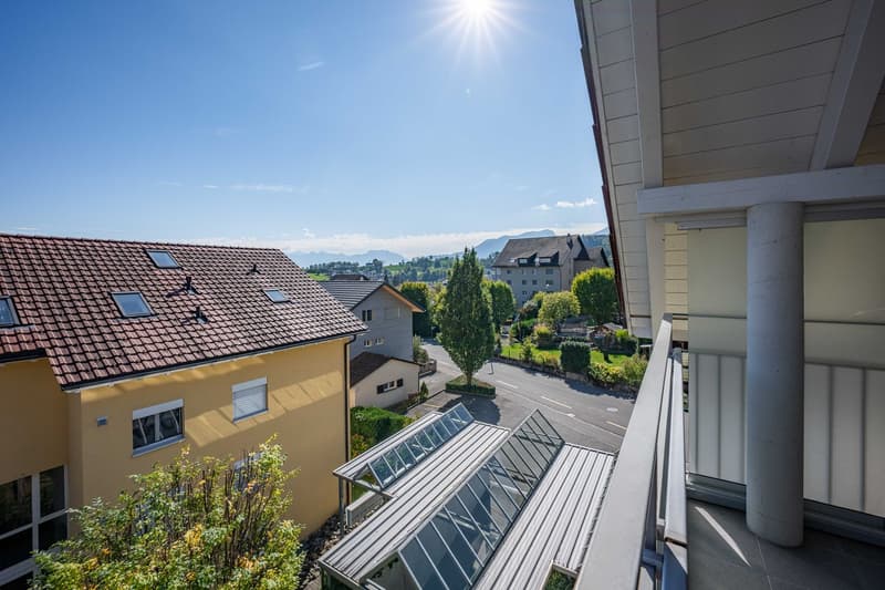 4.5-Zimmer-Wohnung (12)