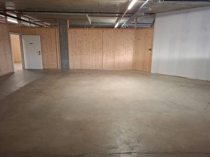 Box & Lagerung, Lagerhalle in Meyrin ZYMESA - Ideal für Handwerker, progressiver Mietpreis (2)