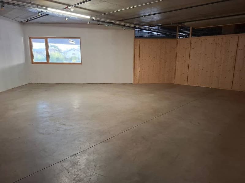 Entrepôt à Meyrin - Idéal pour archivage ou min Hub (3)