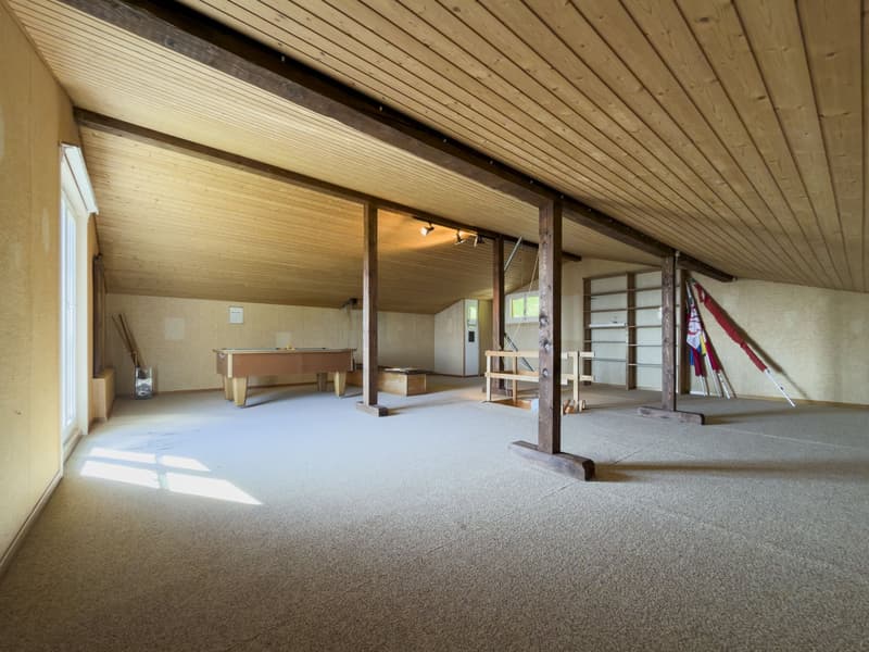 La Vigie - Villa with 2 apartments in Corcelles NE – nature, calm, lake and mountain view (14)