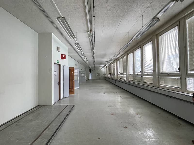 long hallway, white walls, two open doors, multiple windows, fluorescent ceiling lights